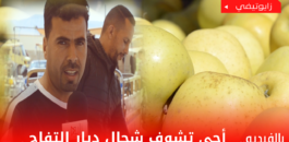 بالفيديو .. أجي تشوف شحال ديار التفاح بزايو