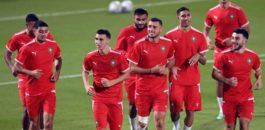 موعد مباريات الأسود في كأس إفريقيا للأمم