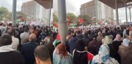 شاهد فيديو .. احتجاج بميناء الدار البيضاء ضد رسوّ سفينة محملة بالسلاح لإسرائيل