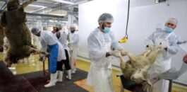 فرنسا تحذر الجاليات المسلمة من ذبح الأضاحي خارج المسالخ