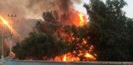 الناظور بركان والدريوش في قائمة “الخطورة المتوسطة” ضمن نشرة مخاطر حرائق الغابات للوكالة الوطنية للمياه والغابات