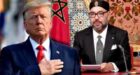 الرئيس الأمريكي دونالد ترامب يراسل جلالة الملك ويجدد الاعتراف بمغربية الصحراء