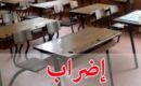 أساتذة التعاقد بالناظور يضربون عن العمل احتجاجا على تدهور أوضاع التعليم