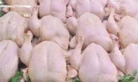 أسعار الدجاج تعود للارتفاع مجددا قبيل رمضان