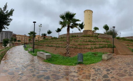 مجلس الجماعة يصادق خلال دورته العادية لشهر فبراير على مشروع تهيئة الحدائق ويؤكد اهتمامه بالفضاءات الخضراء