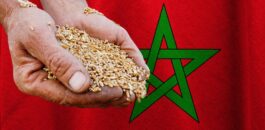 أزمة الشحن.. كيف ينعكس إغلاق مضيق هرمز على خبز المغاربة؟