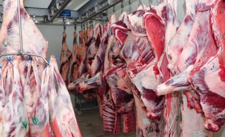 زيادات صادمة.. أسعار اللحوم الحمراء تشتعل في المغرب