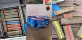 503 كيلوغرامات من الشيرا داخل قوارب ترفيهية.. عملية أمنية نوعية بمارينا طنجة