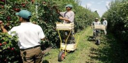 فرنسا تفتح أبواب العمل الموسمي للمغاربة عبر برنامج “الهجرة الدائرية” الجديد