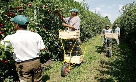 فرنسا تفتح أبواب العمل الموسمي للمغاربة عبر برنامج “الهجرة الدائرية” الجديد