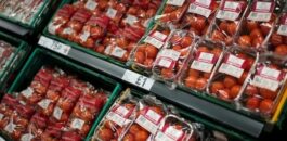 لأول مرة.. المغرب يزيح إسبانيا عن صدارة مصدّري الطماطم نحو أوروبا