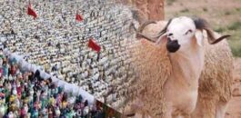 حسابات فلكية ترجّح حلول عيد الأضحى بالمغرب يوم 27 ماي