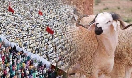 حسابات فلكية ترجّح حلول عيد الأضحى بالمغرب يوم 27 ماي