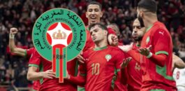 رسميا.. الكشف عن تفاصيل المباراة الودية للأسود