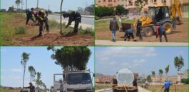 جماعة زايو تطلق حملة تشجير واسعة تعزز جمالية الطريق المؤدي إلى مدينة العروي + صور