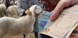عقوبات حبسية وغرامات صارمة ضد المضاربين في أسعار أضاحي العيد