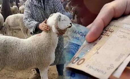 عقوبات حبسية وغرامات صارمة ضد المضاربين في أسعار أضاحي العيد