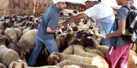 توجه نحو تمديد عطلة عيد الأضحى وصرف الأجور مبكرا لتخفيف الضغط على المواطنين