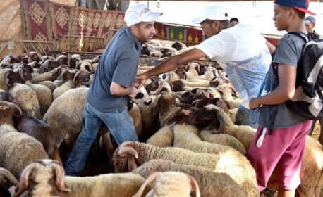 توجه نحو تمديد عطلة عيد الأضحى وصرف الأجور مبكرا لتخفيف الضغط على المواطنين