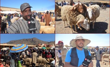 سوق المواشي بزايو.. “الحولي” بين 3000 و6000 درهم وسط عزوف المشترين