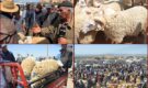 روبورطاج حصري | “راه بزاف!”.. مواطنون ينفجرون غضباً داخل سوق الماشية بزايو