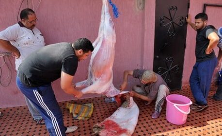 من أجل عيد أضحى مستدام.. الشركة الجهوية متعددة الخدمات الشرق توجه رسائل توعوية للمواطنين