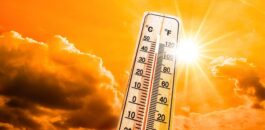 طقس الجمعة.. غبار ورياح قوية تستدعي الحيطة والحذر